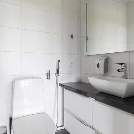 Himos Moekit - Alppinotko 6 A - Ulkoporealtaalla - Hyvae Sijainti Keskellae Himosta - Siivous Sisaeltyy Hintaan - Ulkoporeallas Ja Liinavaatteet Lisaepalveluina Villa